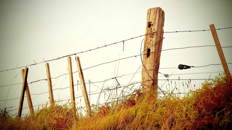 欧洲足球冠军联赛决赛现场报道，球员在橙色灯光下激烈拼抢，看台座无虚席
