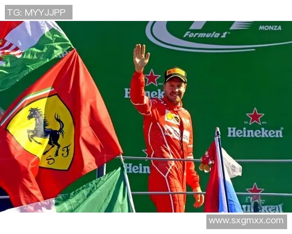 塞巴斯蒂安维特尔：从天才少年到四届世界冠军的传奇之路